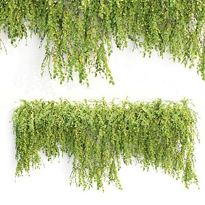 Low Poly Hanging wall plants N51806 3D model