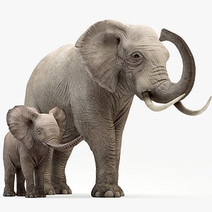Animated Elephant and baby elephant
