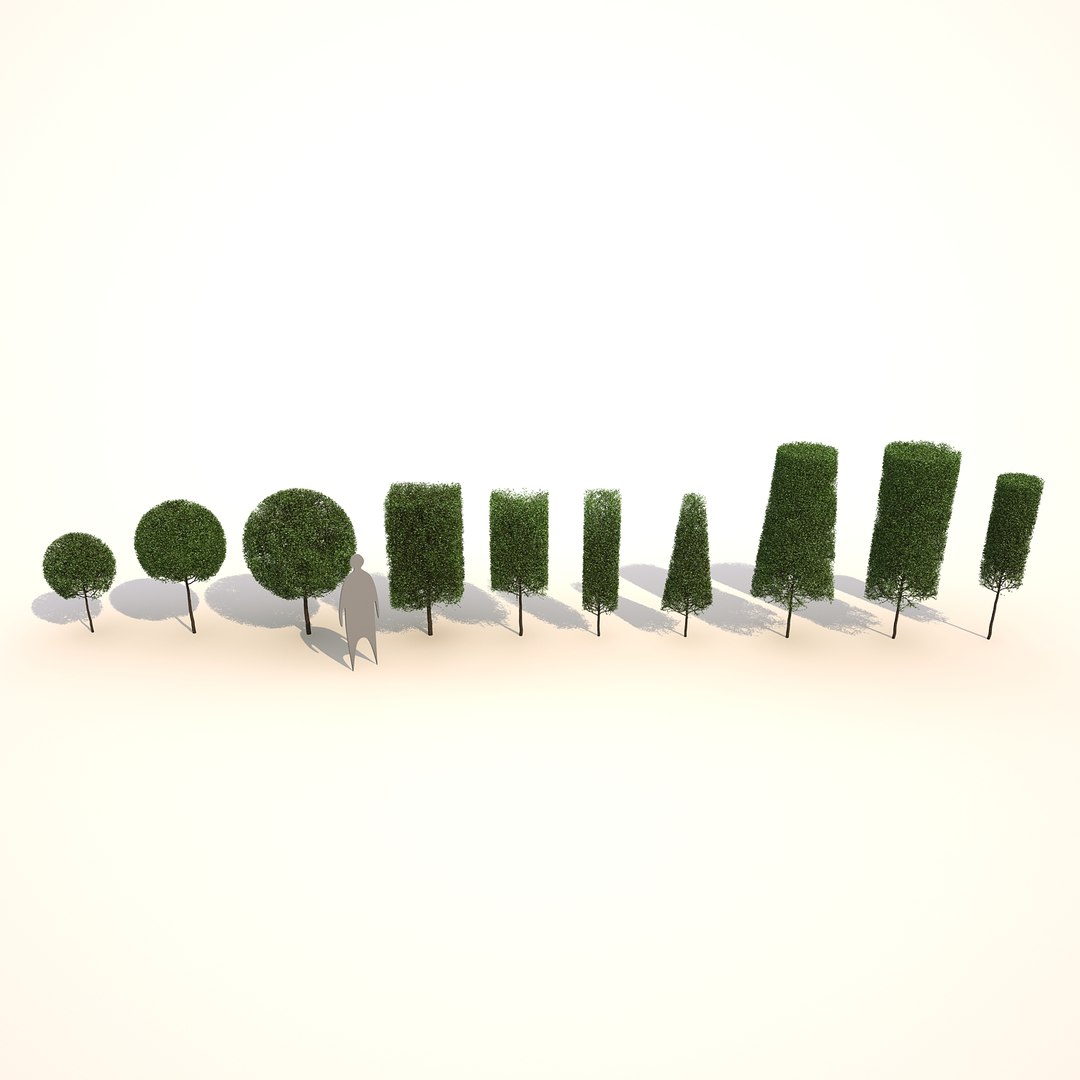 Obj 2 Tree