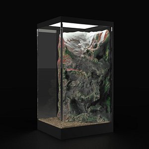 Square Aquarium with Decorative Rock