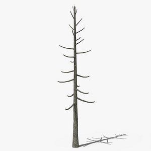 Lowpoly Dead Pine v1 3D model