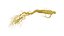 Radice di ginseng