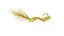 Radice di ginseng