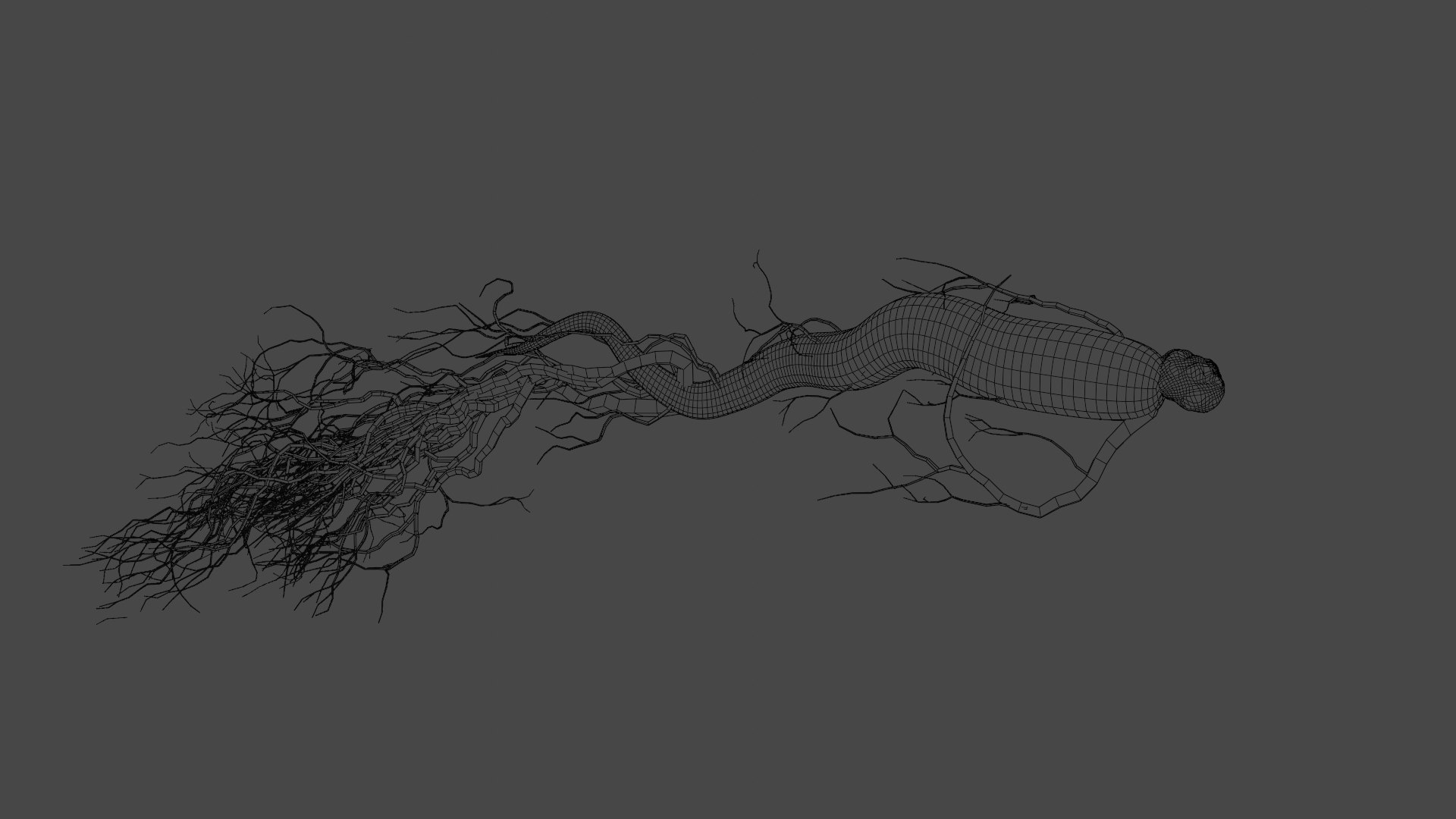 3D model root ginseng https://p.turbosquid.com/ts-thumb/MT/nPDhml/IF/11/png/1612538962/1920x1080/fit_q87/642424b9daf952964417ed221c200ffee24d1f09/11.jpg