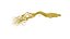 Radice di ginseng