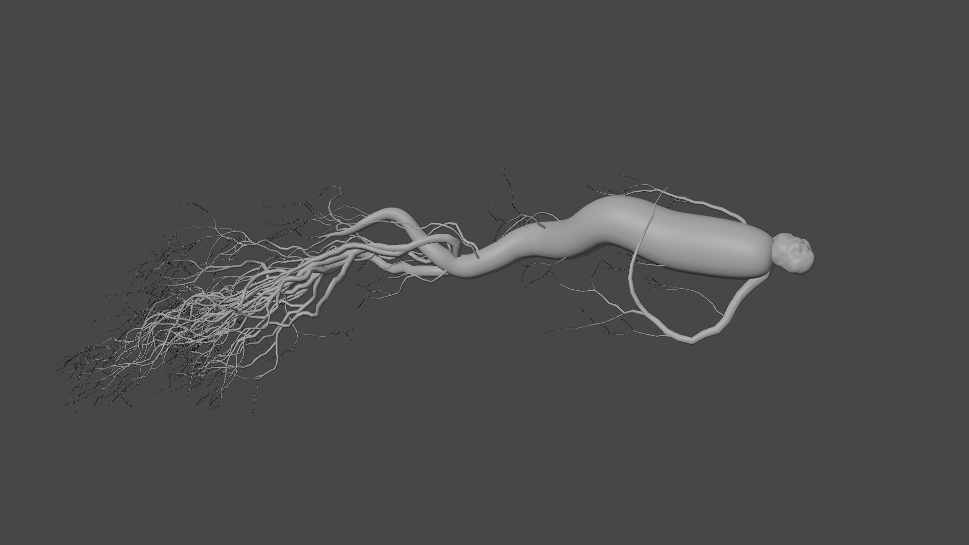 3D model root ginseng https://p.turbosquid.com/ts-thumb/MT/nPDhml/cy/12/png/1612538964/1920x1080/fit_q87/5a6934f7e7c877fbbd39b83cc4af2c703e9cddf7/12.jpg