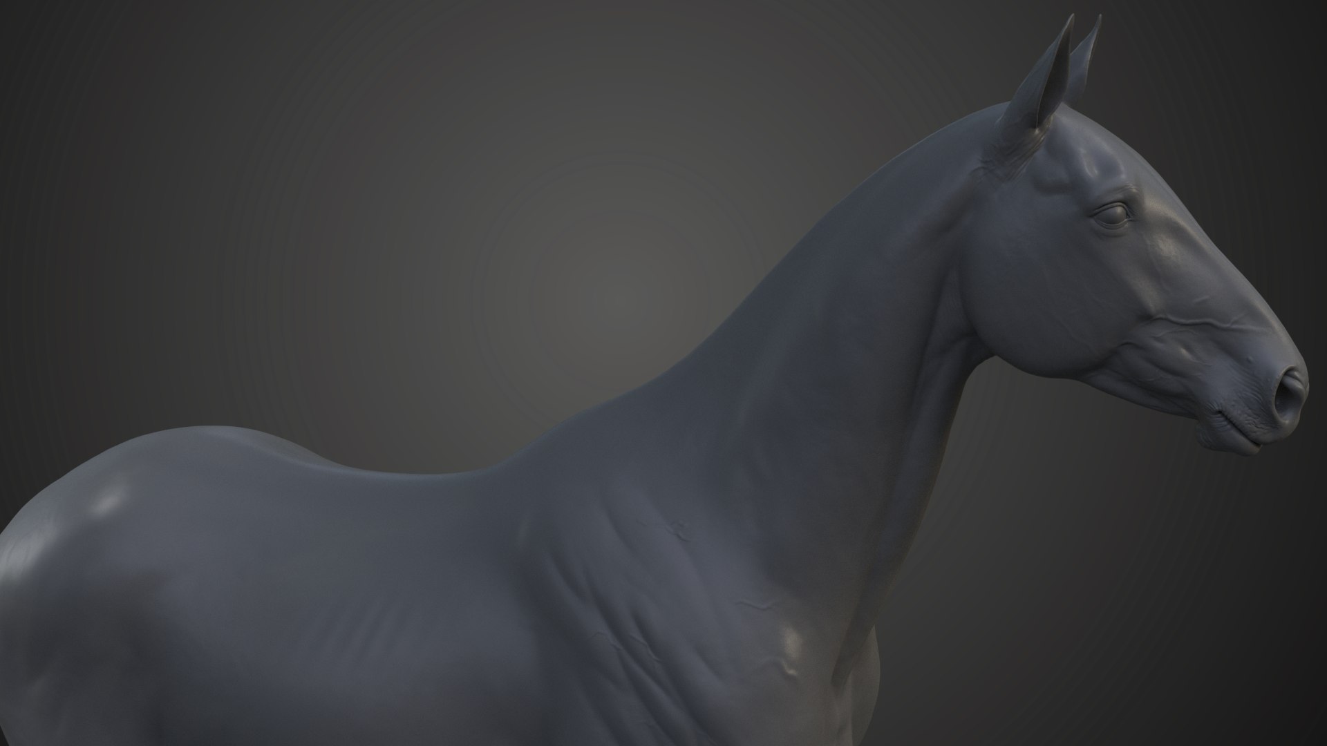 3D realistic horse - TurboSquid 1652911
