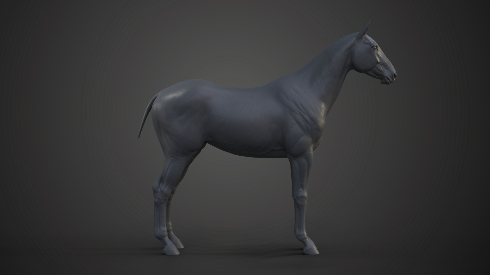 3D realistic horse - TurboSquid 1652911