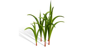 High-Detail Arabian Wild Leek 3D Model 3D model