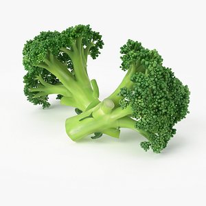 Realistic Broccoli
