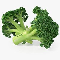 Realistic Broccoli