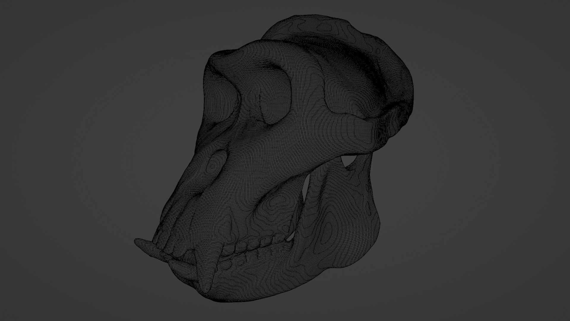 3D Gorilla Skull 3D Print Model - TurboSquid 2200971