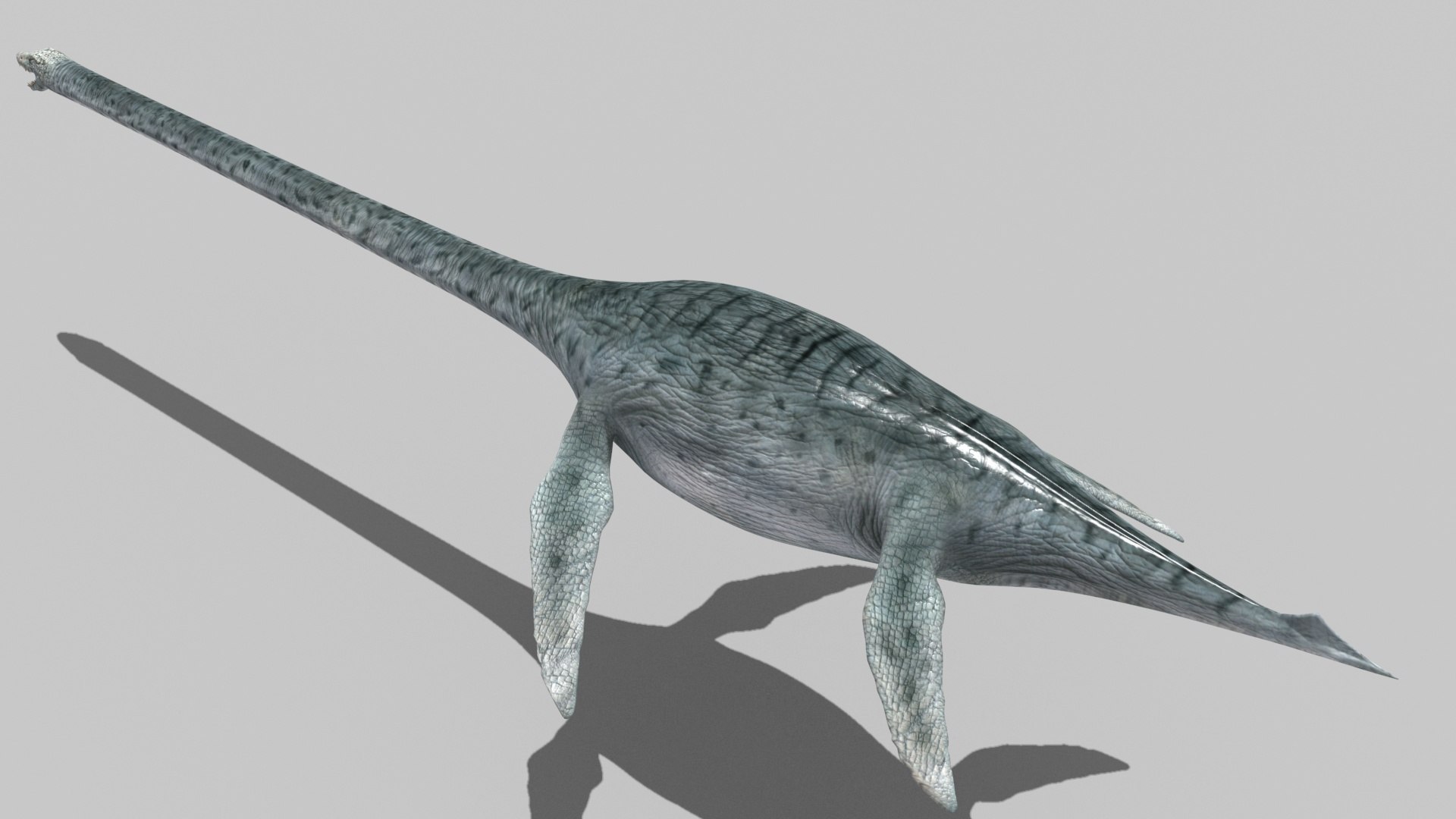 Real Plesiosaur Elasmosaur - 8K 3D model https://p.turbosquid.com/ts-thumb/MU/3virp7/4H/9/jpg/1715714082/1920x1080/fit_q87/79c2414d7a11d7a36bcac080160b6f57d496b634/9.jpg
