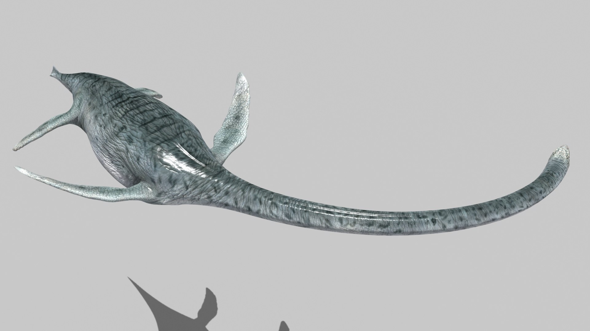 Real Plesiosaur Elasmosaur - 8K 3D model https://p.turbosquid.com/ts-thumb/MU/3virp7/G6/13/jpg/1715714084/1920x1080/fit_q87/f591459de177936f7b3b7ad475f31253192ef2d9/13.jpg