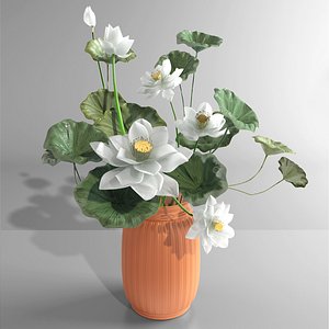 3D water lily model