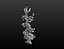 Fir-tree