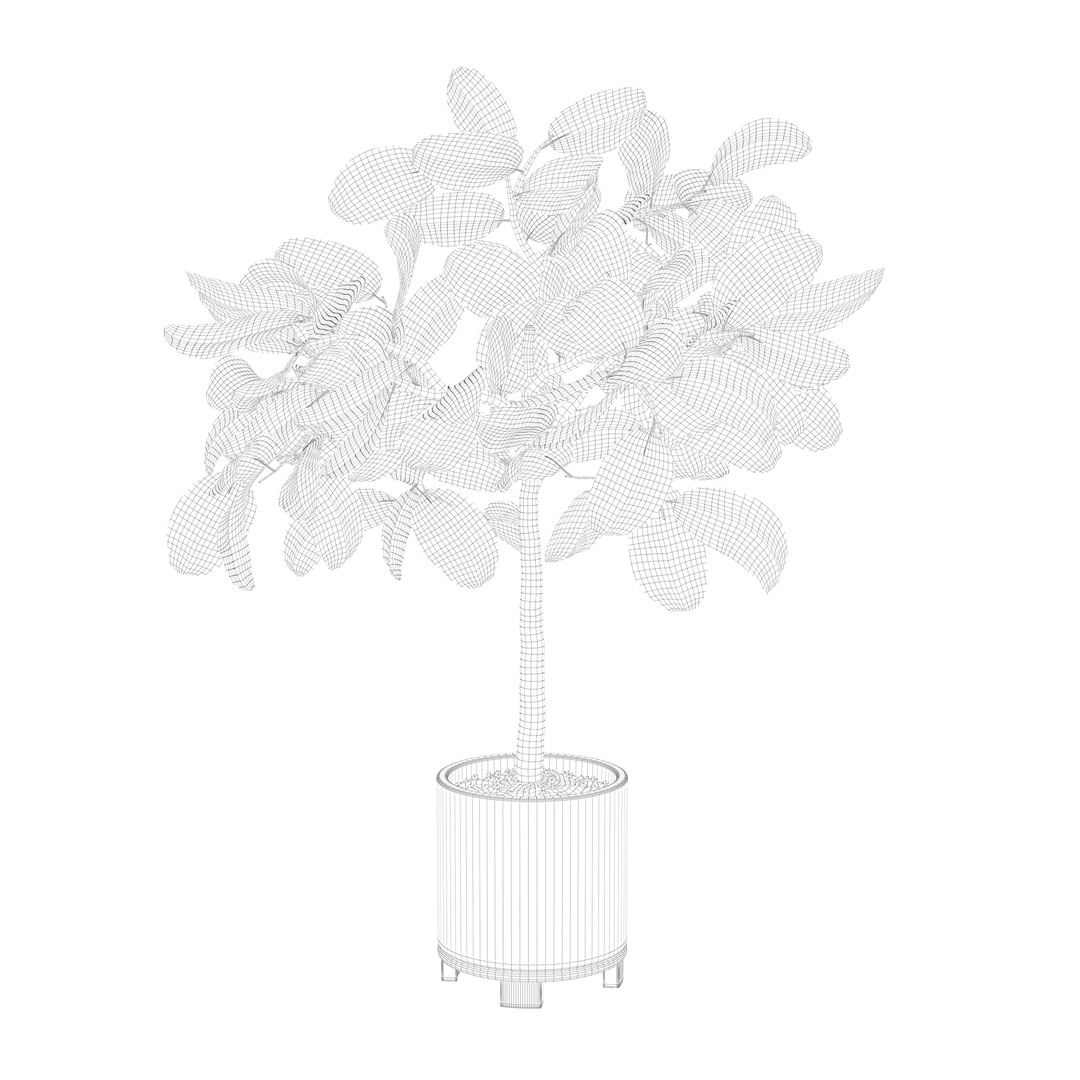 ficus benghalensis model https://p.turbosquid.com/ts-thumb/MU/NzwvRn/zK/ficuswire24/jpg/1654509239/1920x1080/fit_q87/31d6850414ede253880db6dabb5179daa896dbe6/ficuswire24.jpg