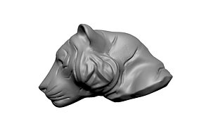 tiger cat head model