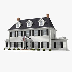 Realistic American House