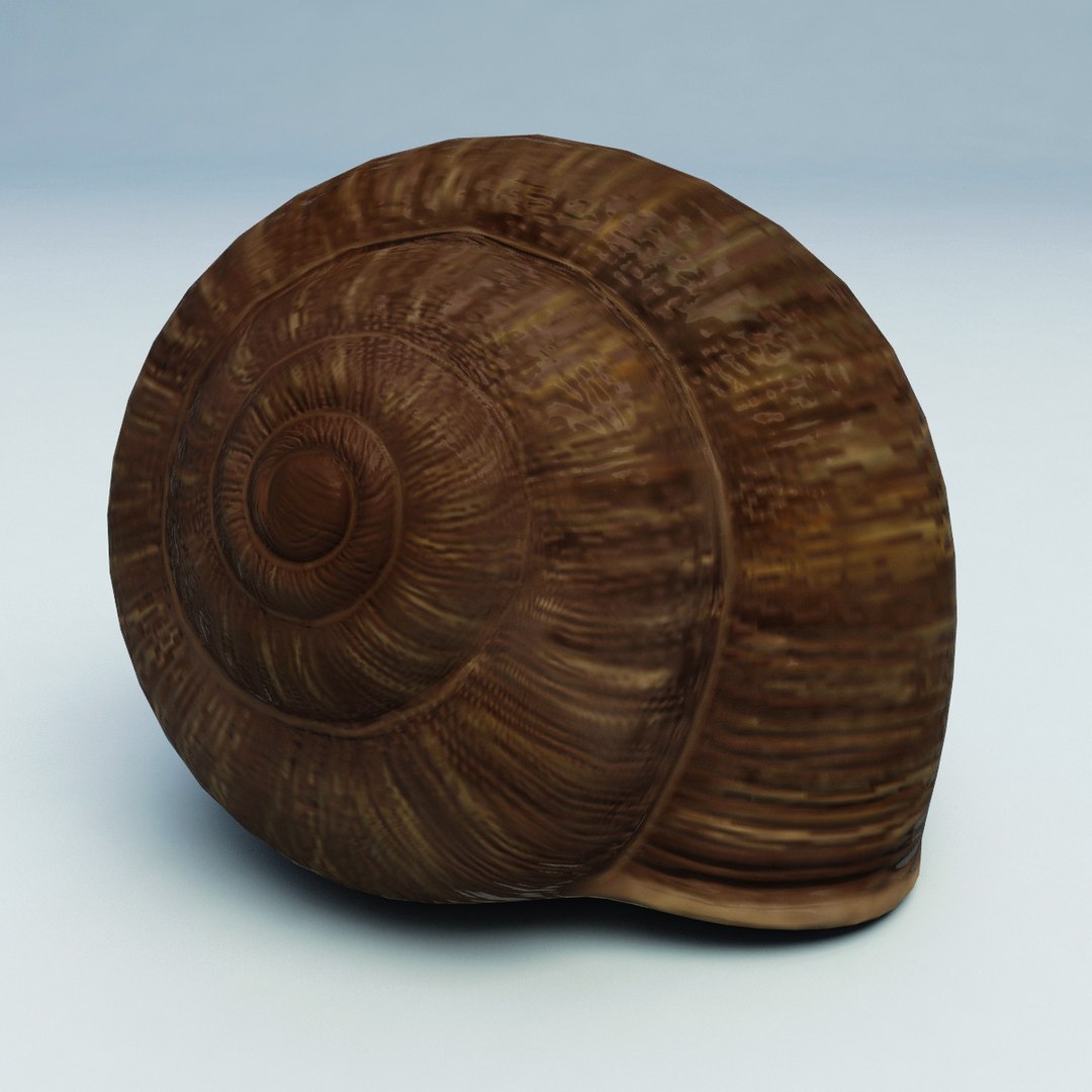 snail modelled 3d 3ds https://p.turbosquid.com/ts-thumb/MU/jDrMNI/LSVHv7f7/snail_11/jpg/1280517601/1920x1080/fit_q87/e3fc0a263088e03a8dfac74916a7d4935bd3a29e/snail_11.jpg