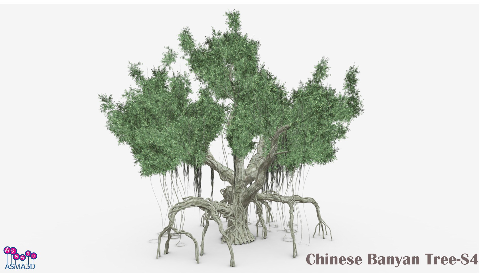 Chinese Banyan Tree-S4 3D Model - TurboSquid 2203191