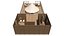 Tenda de lona Glamping Bell