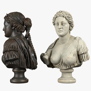 bust aphrodite model