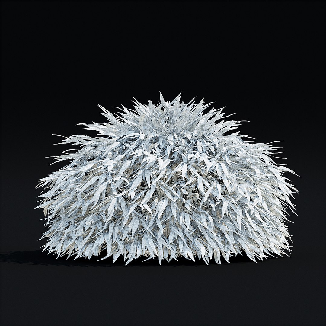 Hakonechloa macra 3D model https://p.turbosquid.com/ts-thumb/MV/5Y8vjA/kh/hakonehloa_view_009_1920/jpg/1664824029/1920x1080/fit_q87/9db71e3a344f2f966d8bd688be61a7dde0be20d9/hakonehloa_view_009_1920.jpg