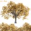 Autumn Maple Trees Collection vol 147-3dmodel