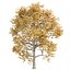 Autumn Maple Trees Collection vol 147-3dmodel