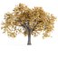 Autumn Maple Trees Collection vol 147-3dmodel