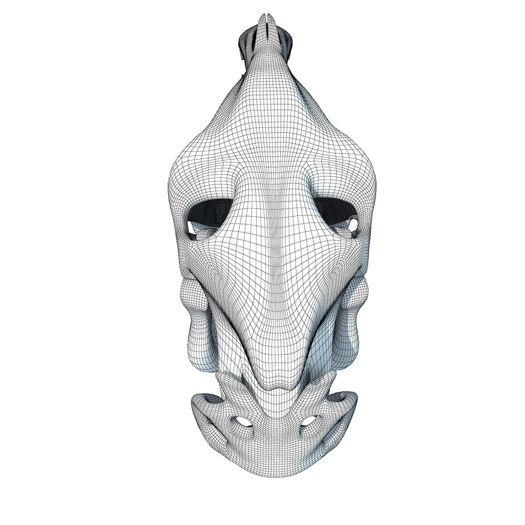 horse skull 3d model