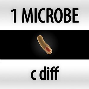 3d microbes micro organisms model