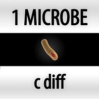 c diff - clostridium difficile