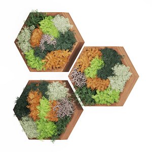 Indoor Plant Fitowall Set01 3D