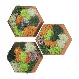 Indoor Plant Fitowall Set01