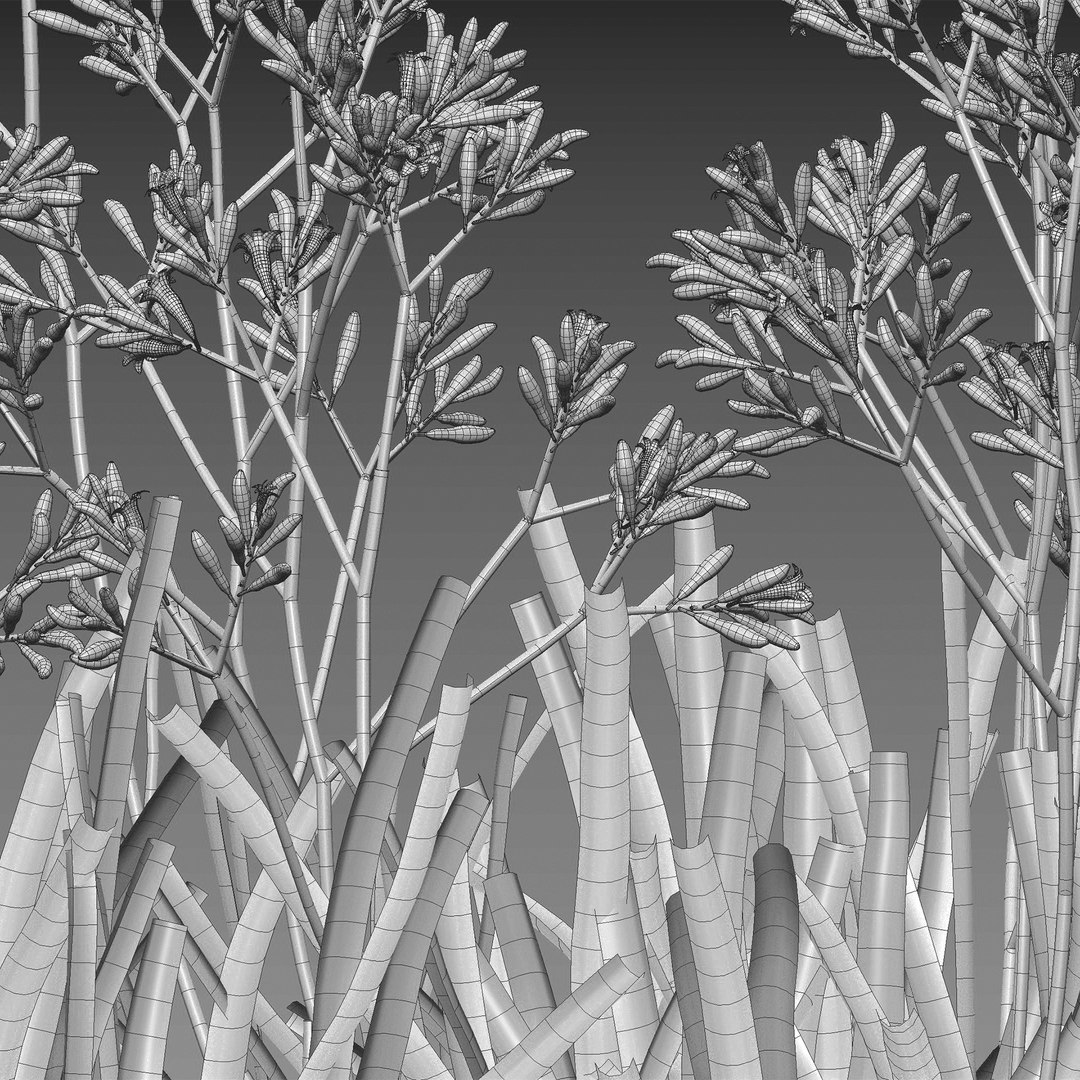 Grow FX - Anigozanthos flavidus - Kangaroo Paw model https://p.turbosquid.com/ts-thumb/MV/h6EToK/Mz/3dtree_anigozanthosflavidus_02_07/jpg/1791347222/1920x1080/fit_q87/5b55fc0bbc3c44c93f0663f0db6c6bd9ebdf4ec4/3dtree_anigozanthosflavidus_02_07.jpg