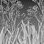 Grow FX - Anigozanthos flavidus - Kangaroo Paw