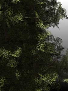 yew trees 3d max