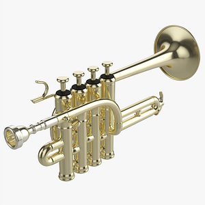 3D Piccolo trumpet model