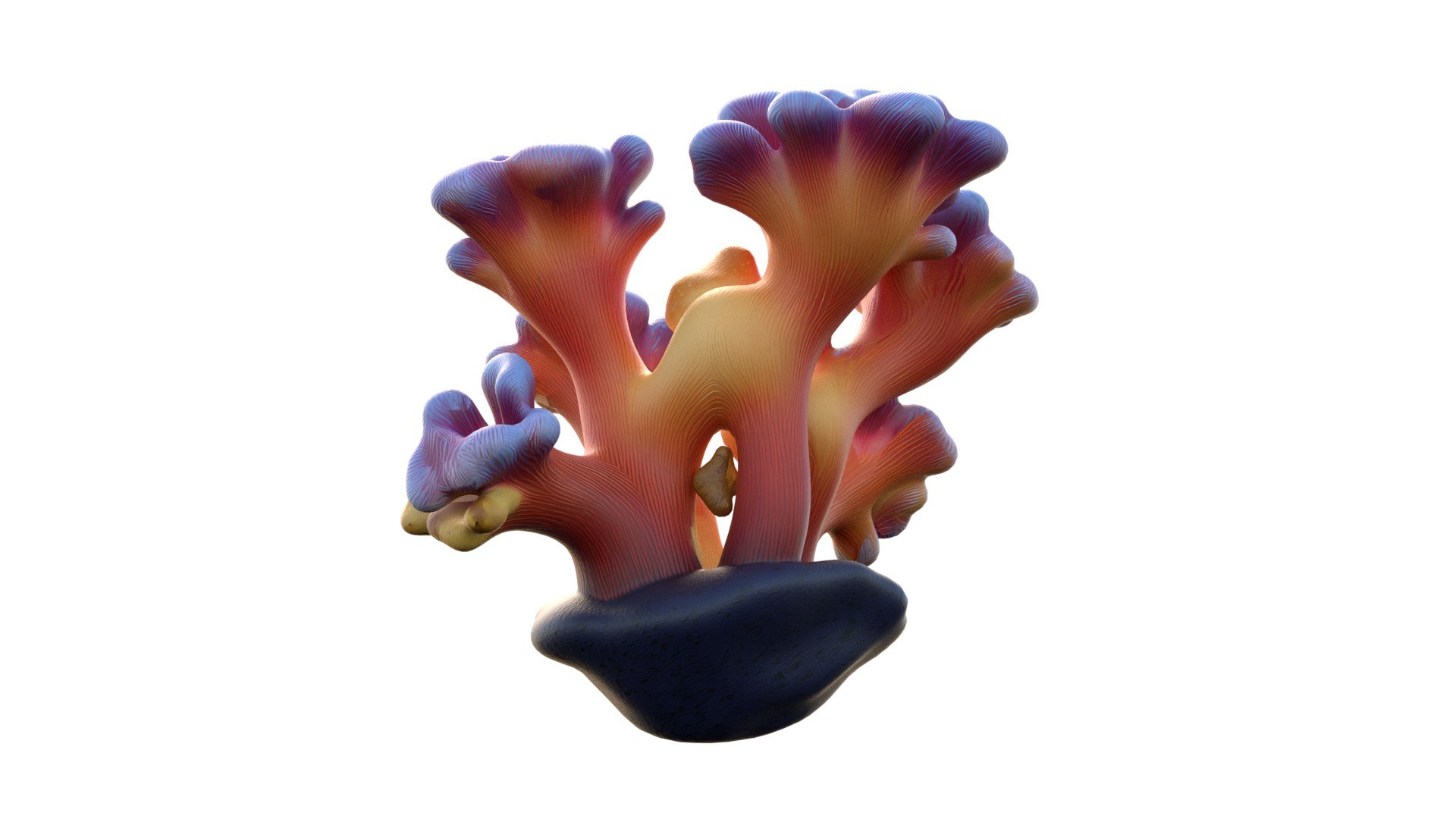 3D Coral reef 08 https://p.turbosquid.com/ts-thumb/MV/txpDlE/P5/6/jpg/1756739693/1920x1080/fit_q87/d1d7e9bcca4598da9ab1164f5adca340e93dea86/6.jpg