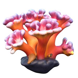 3D Coral reef 08