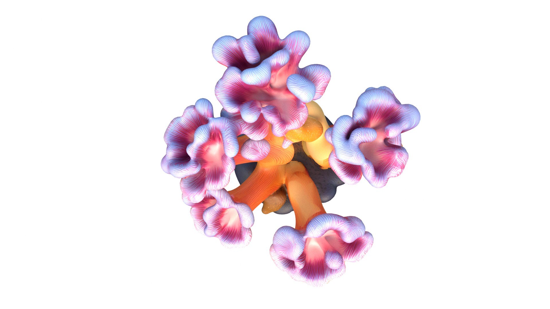 3D Coral reef 08 https://p.turbosquid.com/ts-thumb/MV/txpDlE/pG/5/jpg/1756739691/1920x1080/fit_q87/f984794e280a5bf5600b50768ff11a645bbd70d9/5.jpg