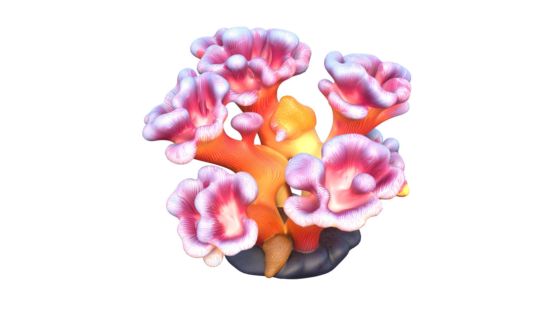 3D Coral reef 08 https://p.turbosquid.com/ts-thumb/MV/txpDlE/yX/4/jpg/1756739691/1920x1080/fit_q87/ac34c440e60951f5ca703a59957b5376606e447c/4.jpg