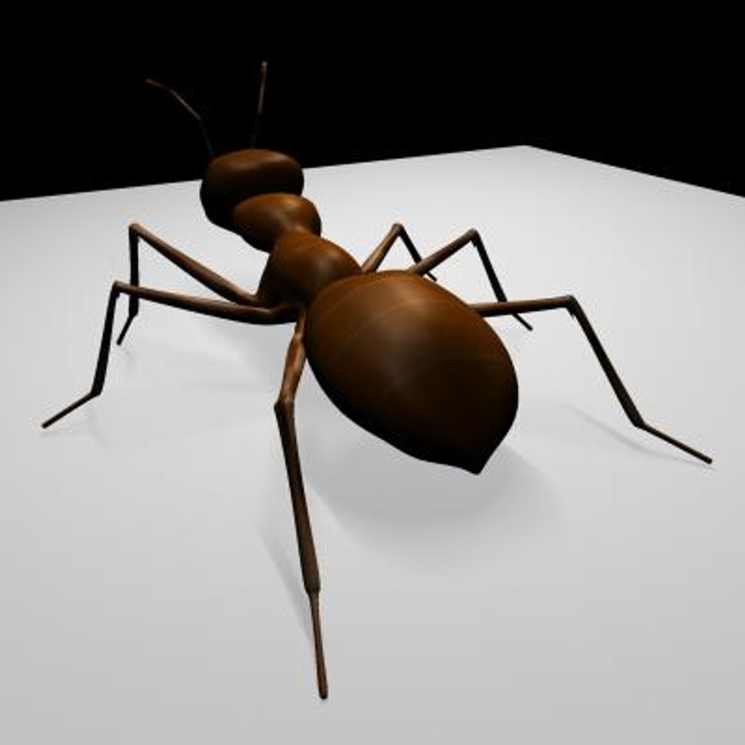 ant boned 3d x https://p.turbosquid.com/ts-thumb/MV/y5u6yL/TAwutajI/ant.zip_thumbnail3/jpg/1071162335/1920x1080/fit_q87/433b8f827ecbf5dc495fb806083bba90626880cd/ant.zip_thumbnail3.jpg