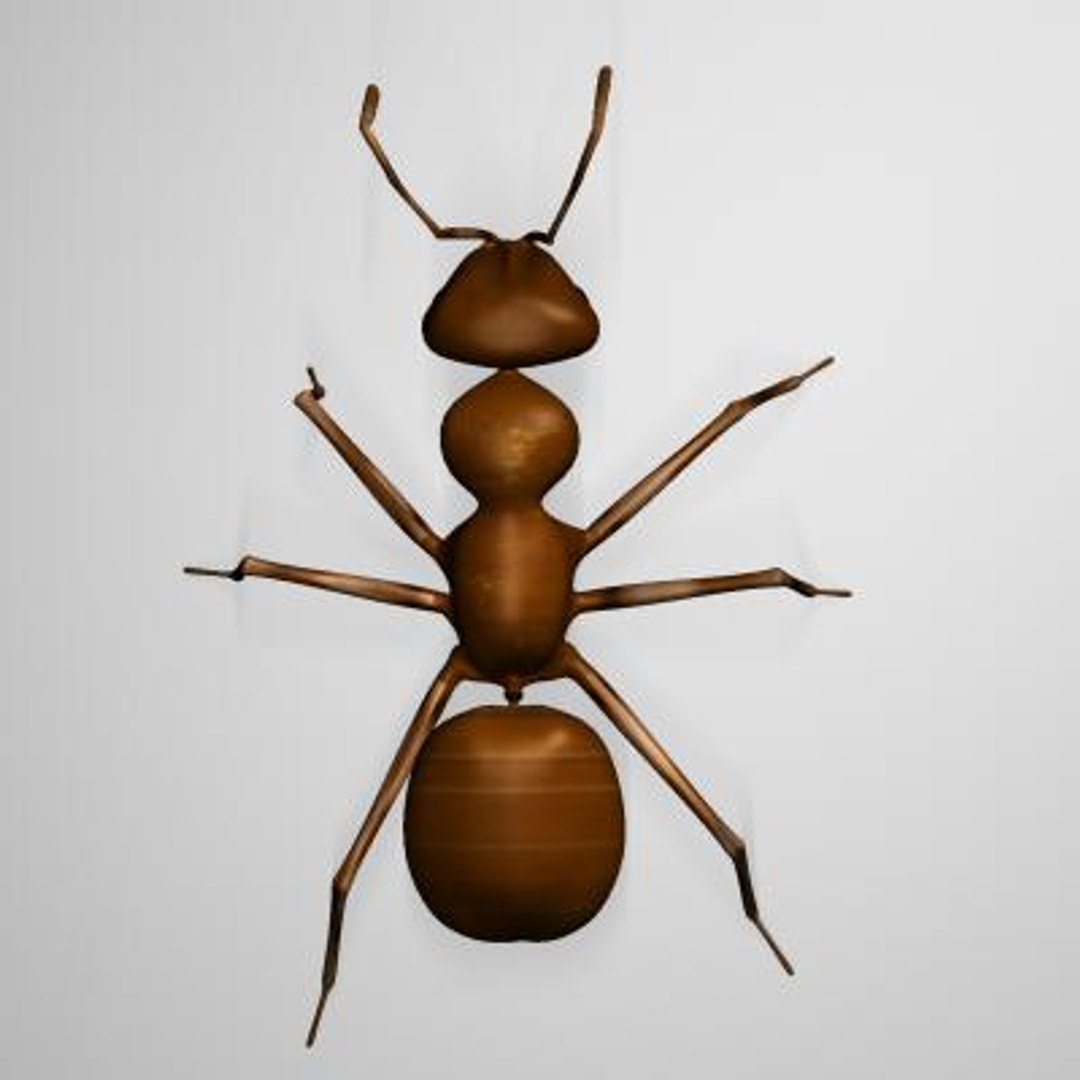 ant boned 3d x https://p.turbosquid.com/ts-thumb/MV/y5u6yL/tX6OTe1g/ant.zip_thumbnail2/jpg/1071162273/1920x1080/fit_q87/f50a0fe56a2310a799d2a4d07f1204c42c235c82/ant.zip_thumbnail2.jpg