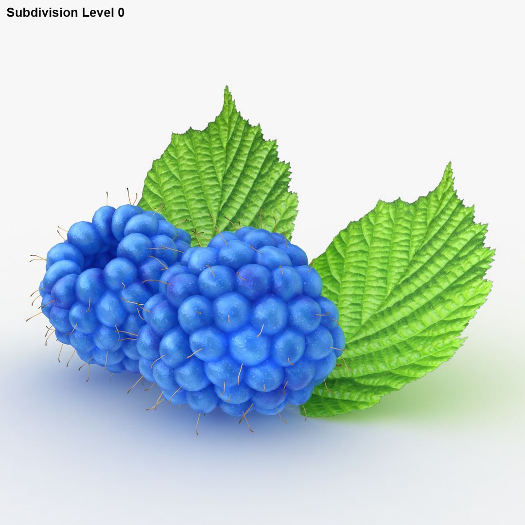 Realistic Raspberry Blue 3d 3ds