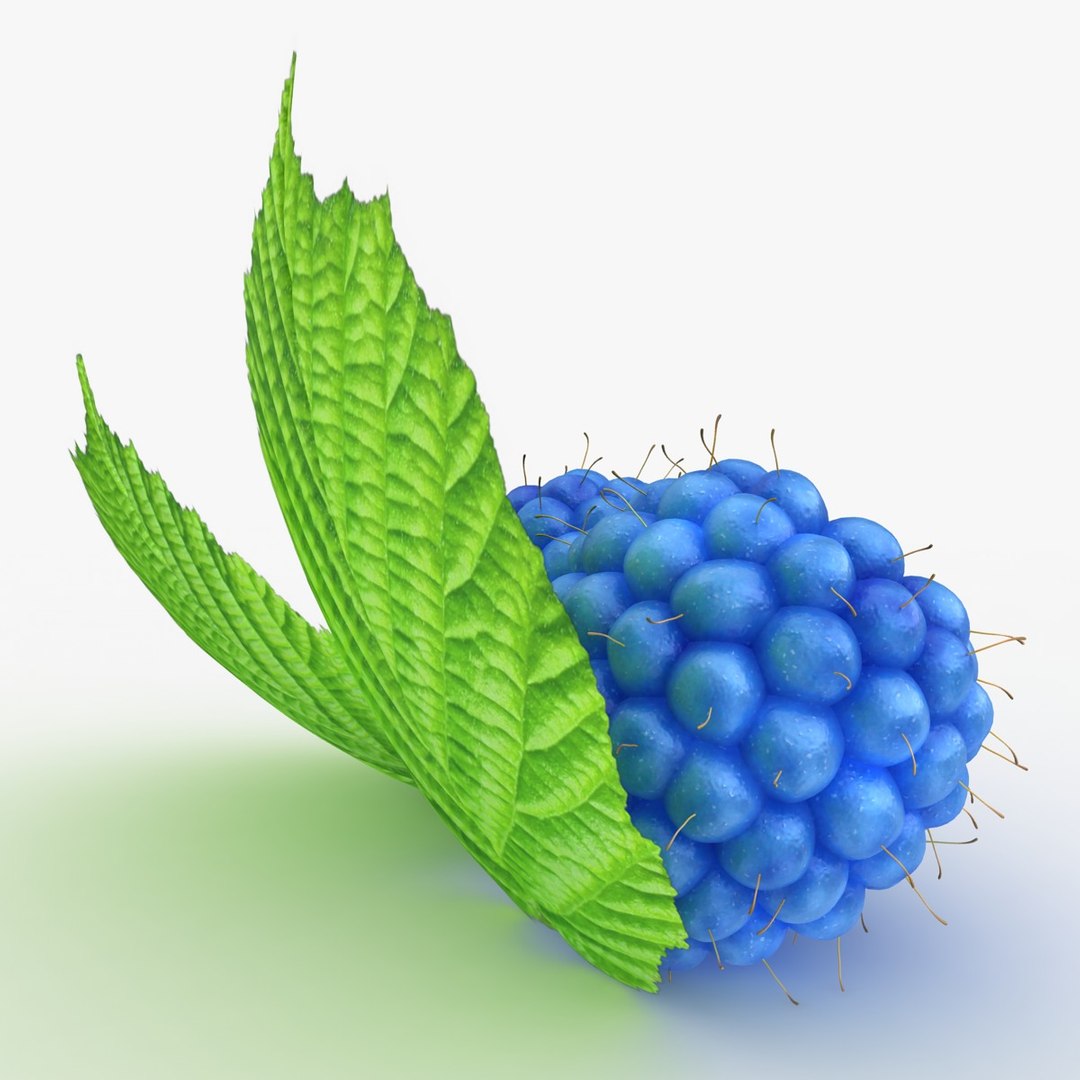 Realistic Raspberry Blue 3d 3ds