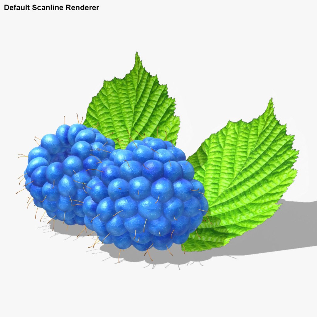 Realistic Raspberry Blue 3d 3ds