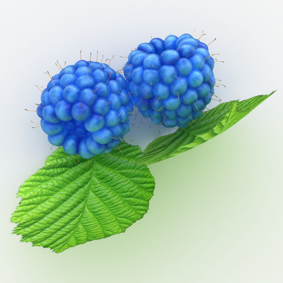 Realistic Raspberry Blue 3d 3ds